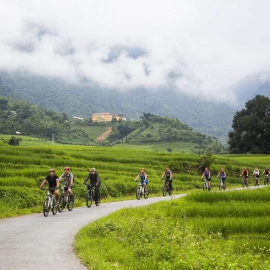 Cyklister i Sapa med rismarker i baggrunden