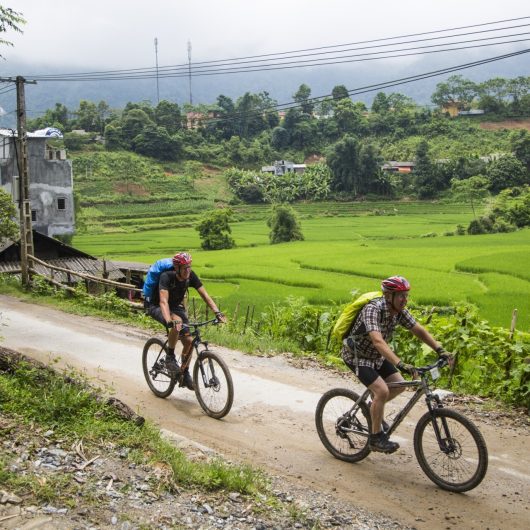 Cykler på grussti med rismarker i baggrunden
