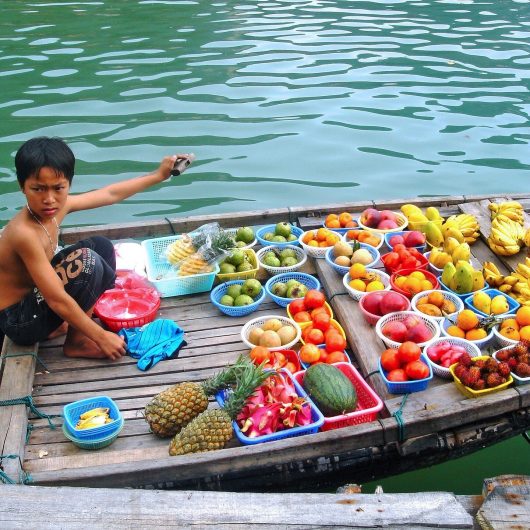 Vietnamesisk dreng sælger frugt i Halong Bay