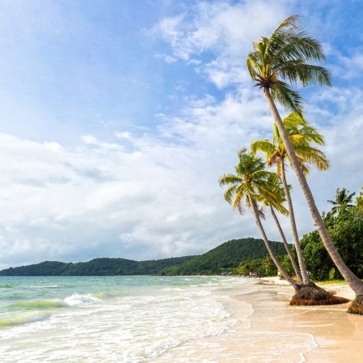 Tropical palms on beautiful Bai Sao beach