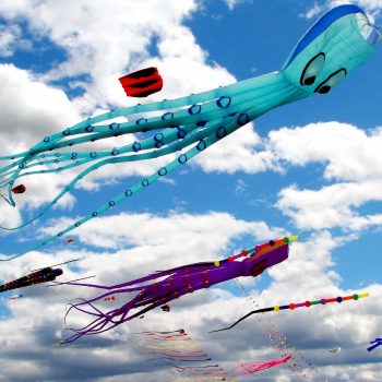 kites - Vietnam