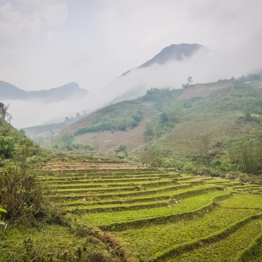 ricefields-sapa-clouds-mountains