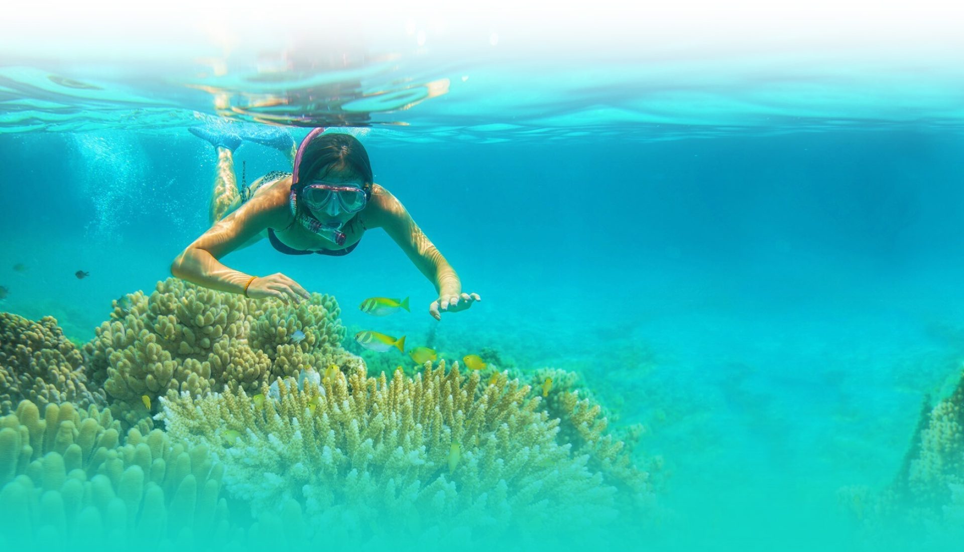 Kvinde snorkler under vandet nær koraller